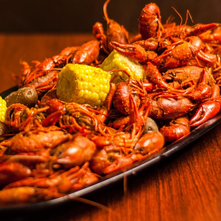 Delicious Fish Dishes