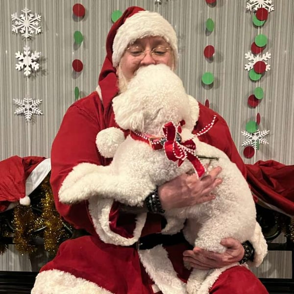 Santa Claus holding a fluffy white dog with a red bow against a festive background.