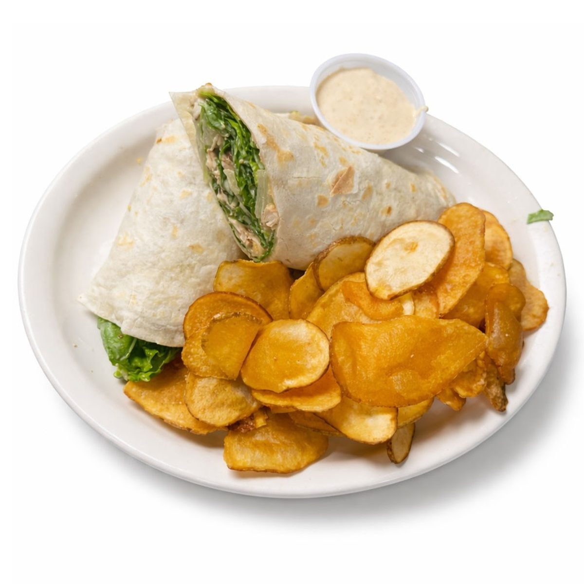 Chicken Caesar Wrap 12"