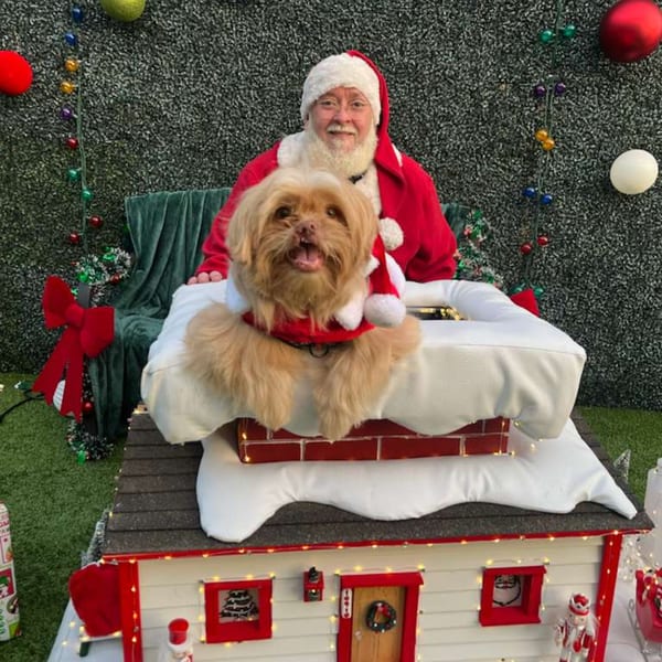 Santa Claus sits behind a small dog wearing a Santa hat, peeking out of a chimney.
