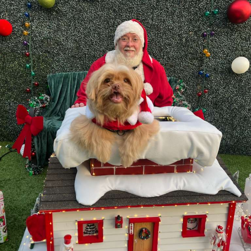 Santa Claus sits behind a small dog wearing a Santa hat, peeking out of a chimney.