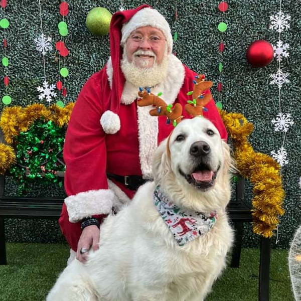 Santa Claus and a Golden Retriever wearing reindeer antlers pose in front of a Christmas-decorated wall.